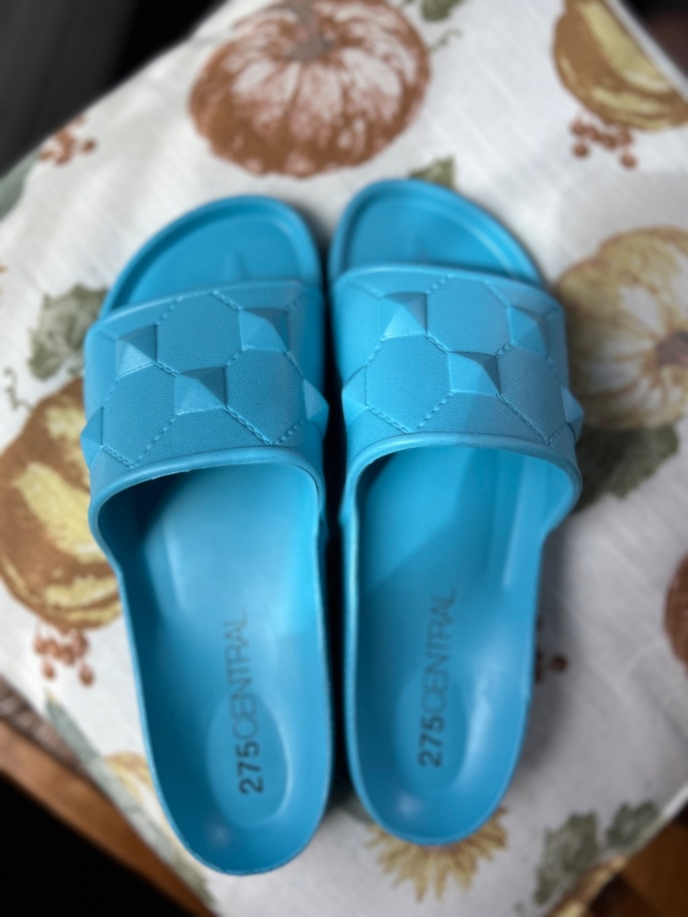 275 Central Anthony Slides NWOB Blue Rubber Sz 10 40